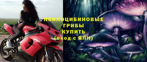 бошки Володарск